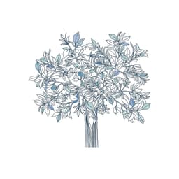 store_logo